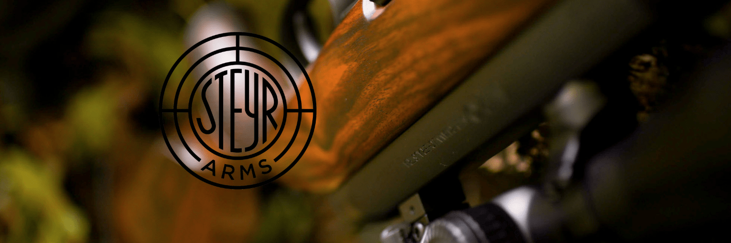 steyr (1)